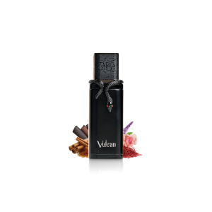 Vulcan Black Friday by French Avenue